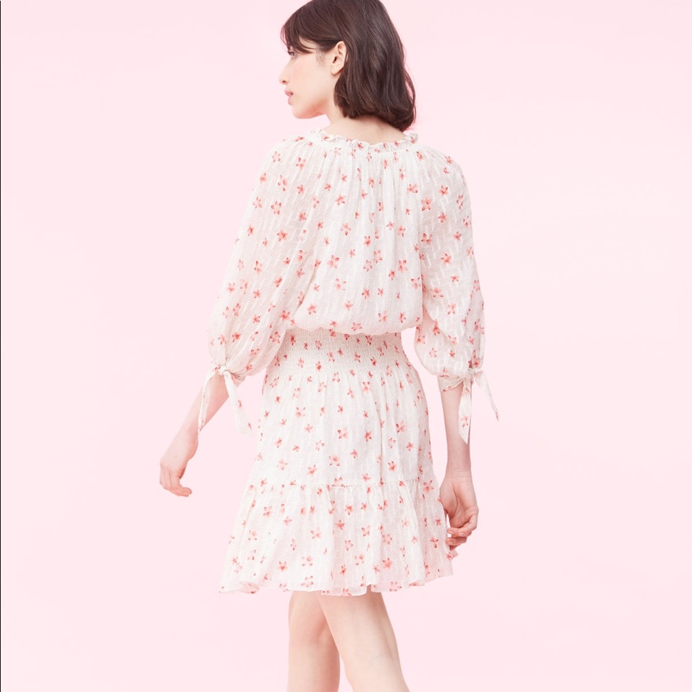 Rebecca Taylor Maui Fleur Dot Clip Dress in XS
